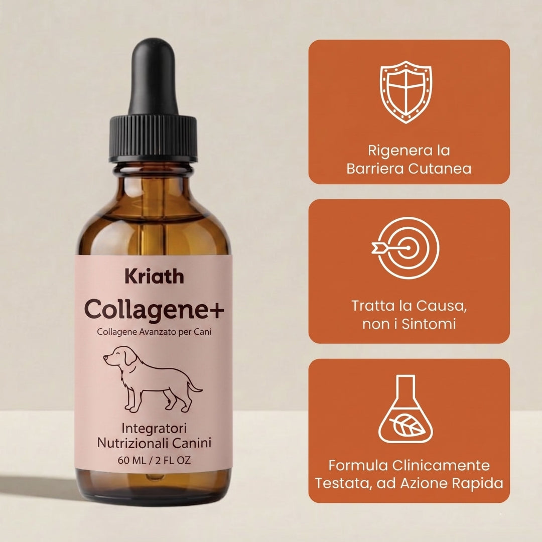 PetCollagen+® Il tuo Cane, al Meglio