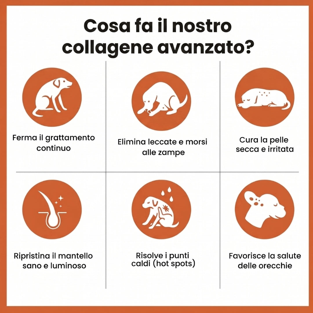 PetCollagen+® Il tuo Cane, al Meglio