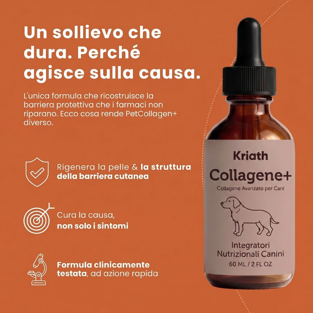 PetCollagen+® Il tuo Cane, al Meglio