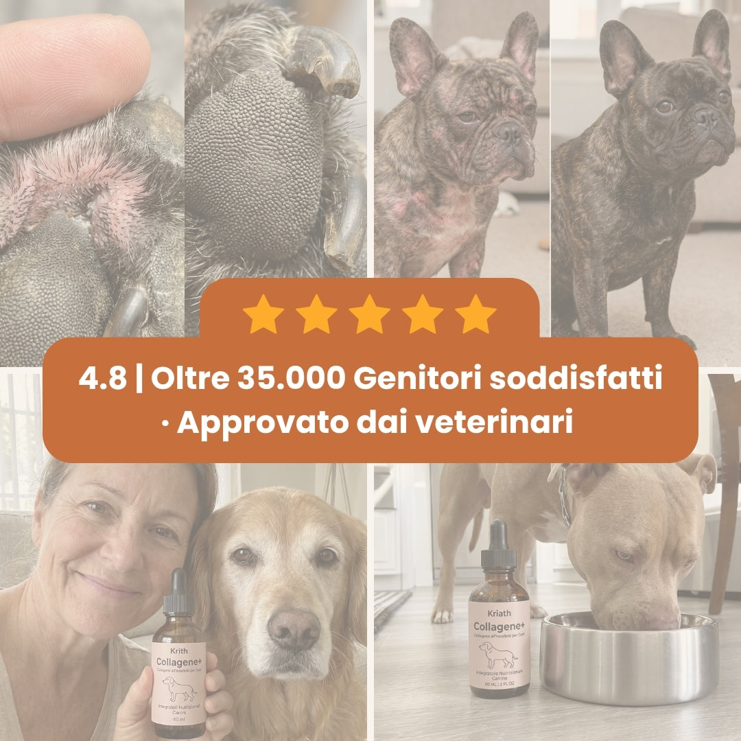 PetCollagen+® Il tuo Cane, al Meglio
